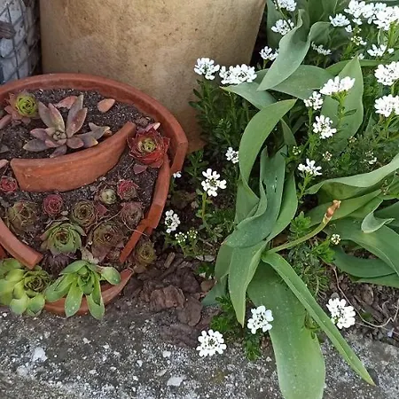 Apartma Brdo Bc Apartman