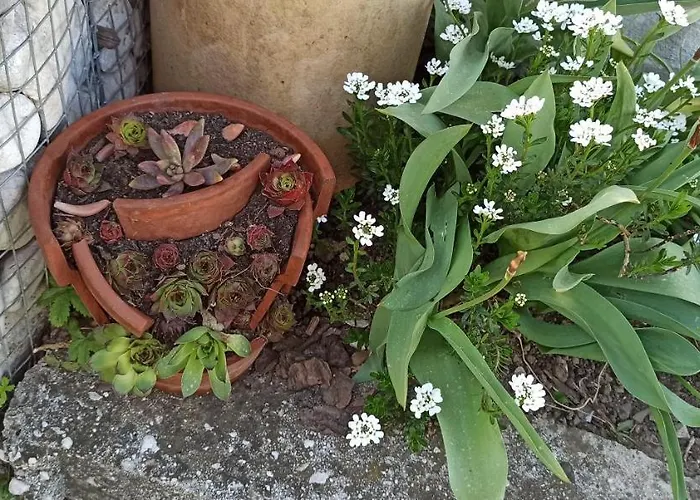 Apartma Brdo Bc Apartment